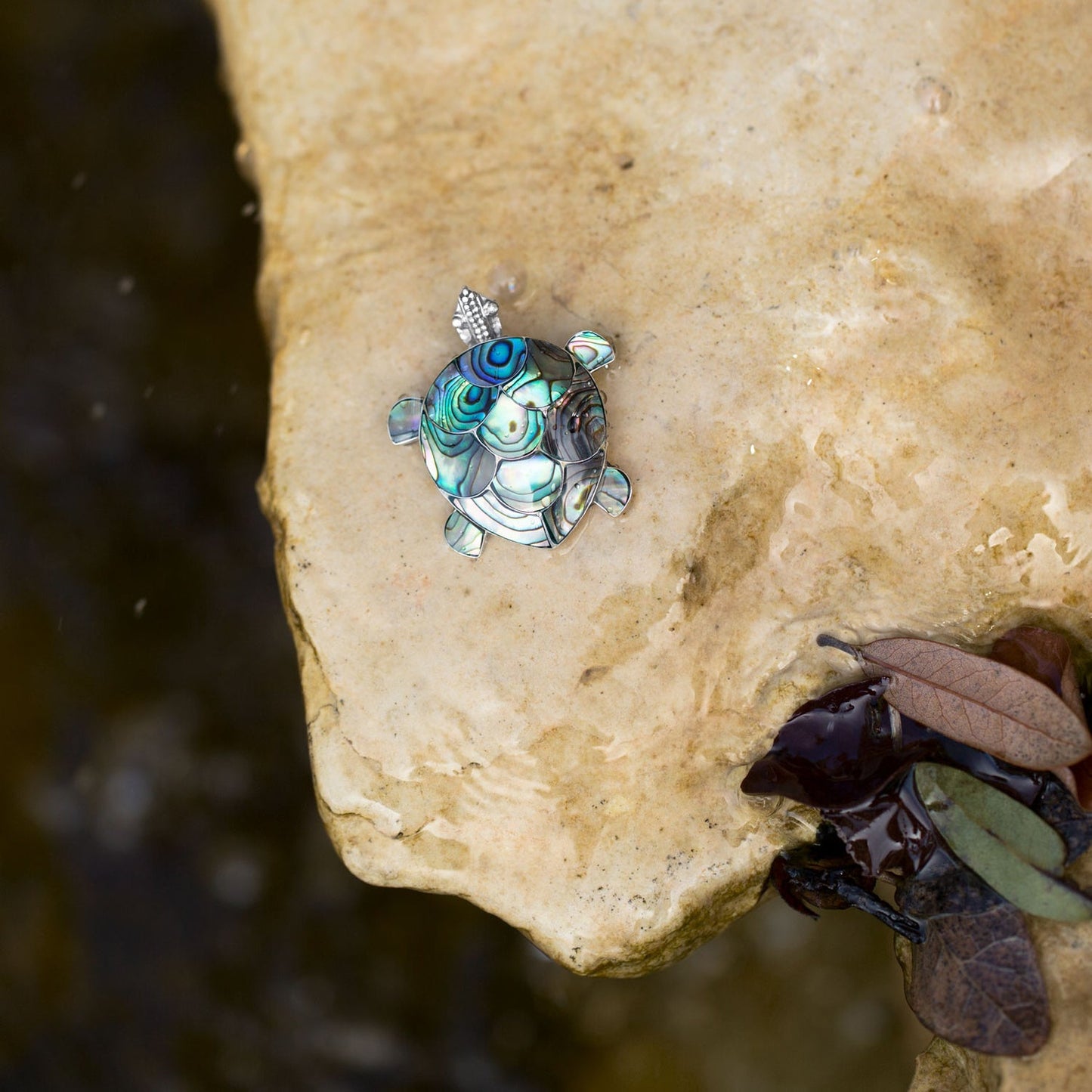 Bali Paua Shell Turtle Pin/Pendant